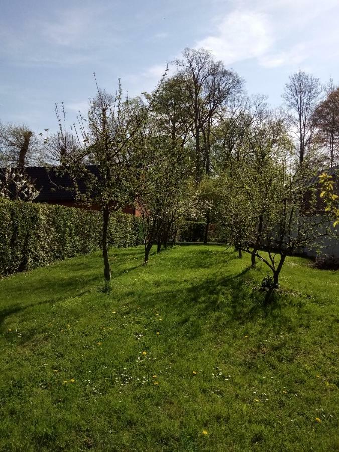 Gite Du Montagnard Oxelaere Exterior photo